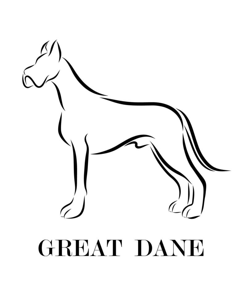 Great Dane dog line art eps 10 vector