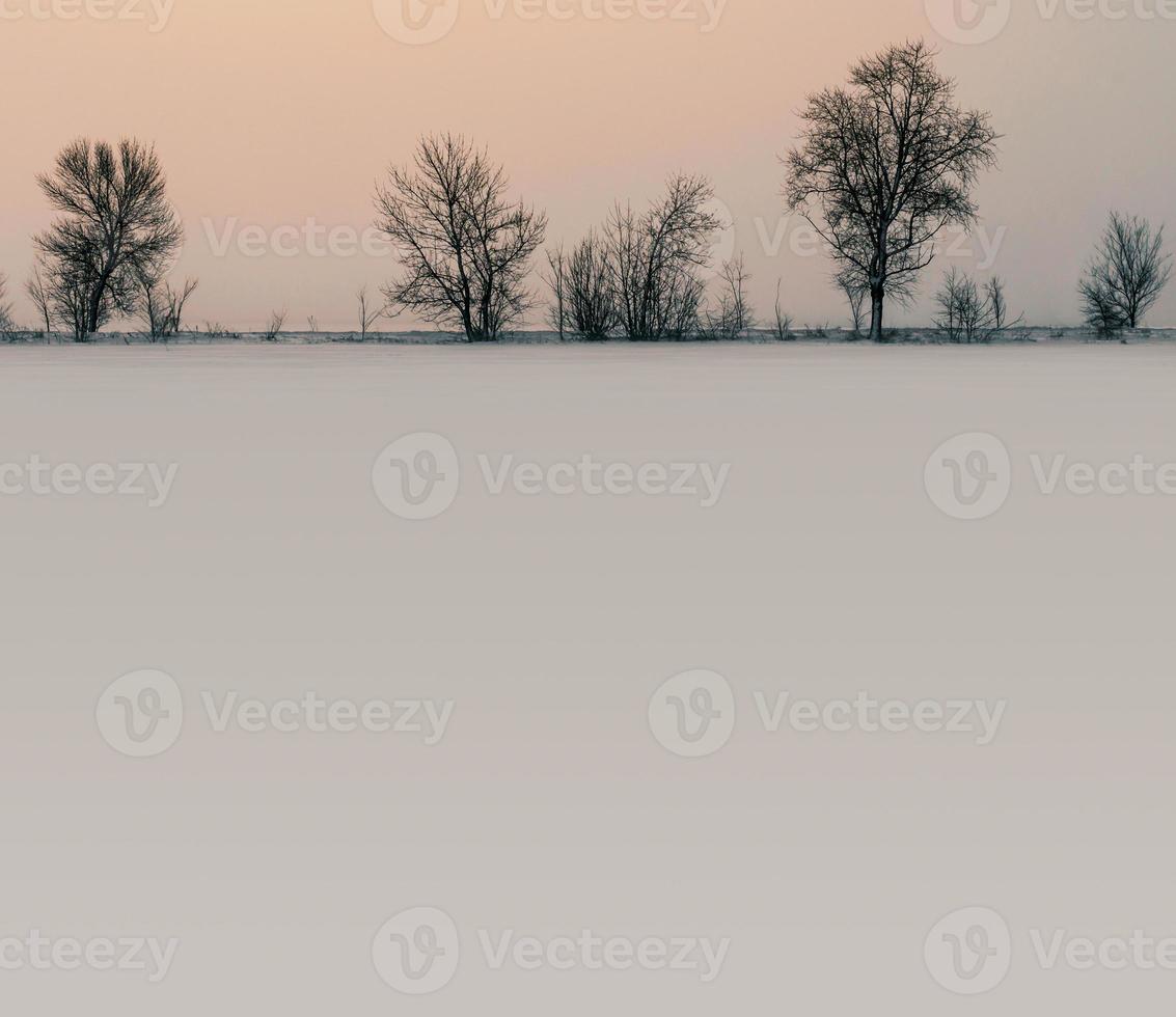 paisaje nevado de invierno foto