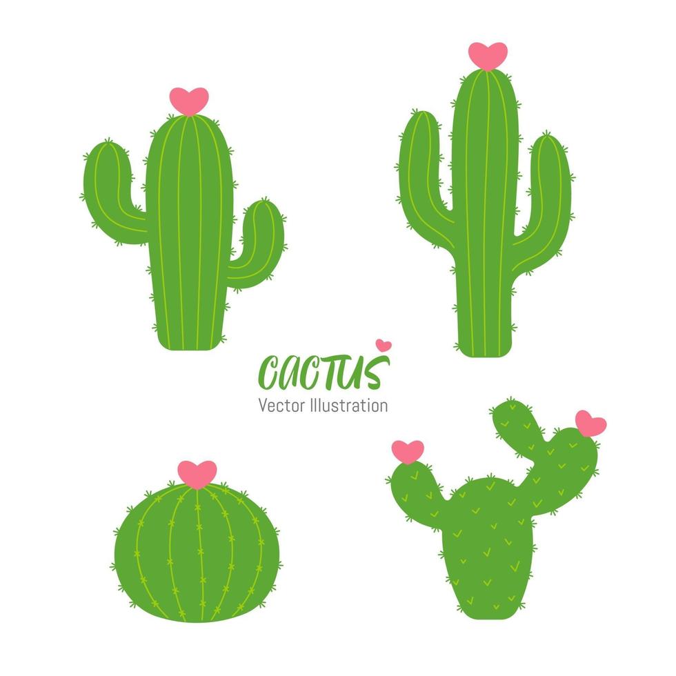 Cactus shaped plants that flower in the shape of a heart. The concept of lovers growing cactus. vector