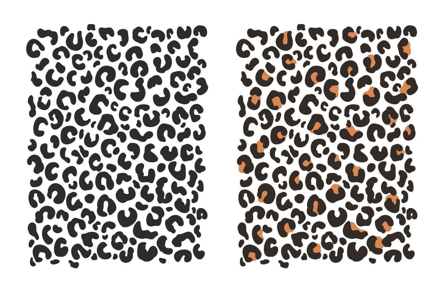 Leopard background pattern Leopard animal skin isolated on white background vector