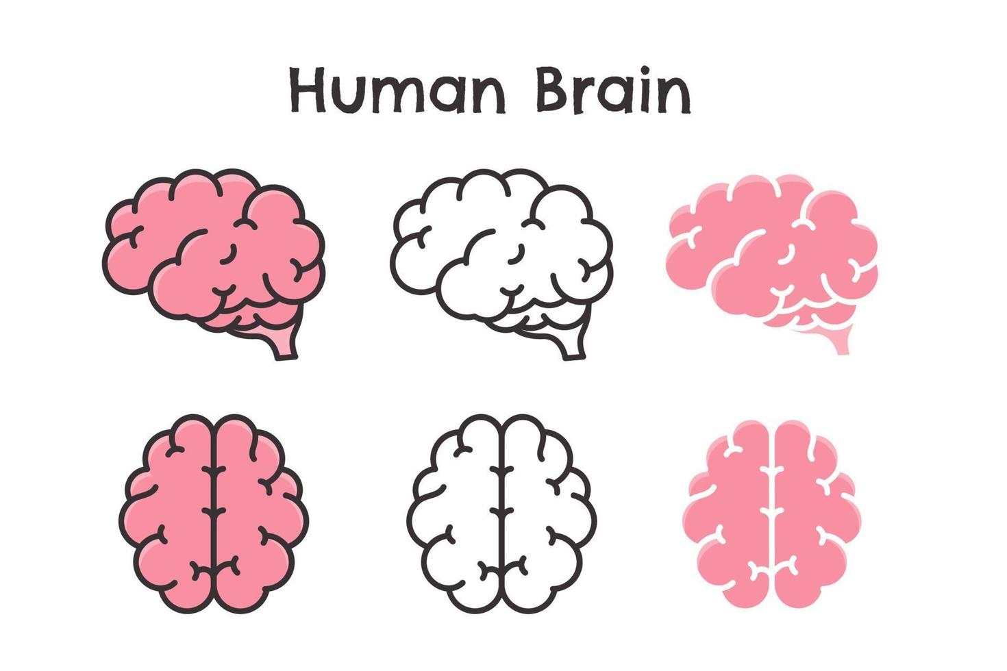Human brain vector Wavy Symbol of learning Intelligence and an optimistic attitude