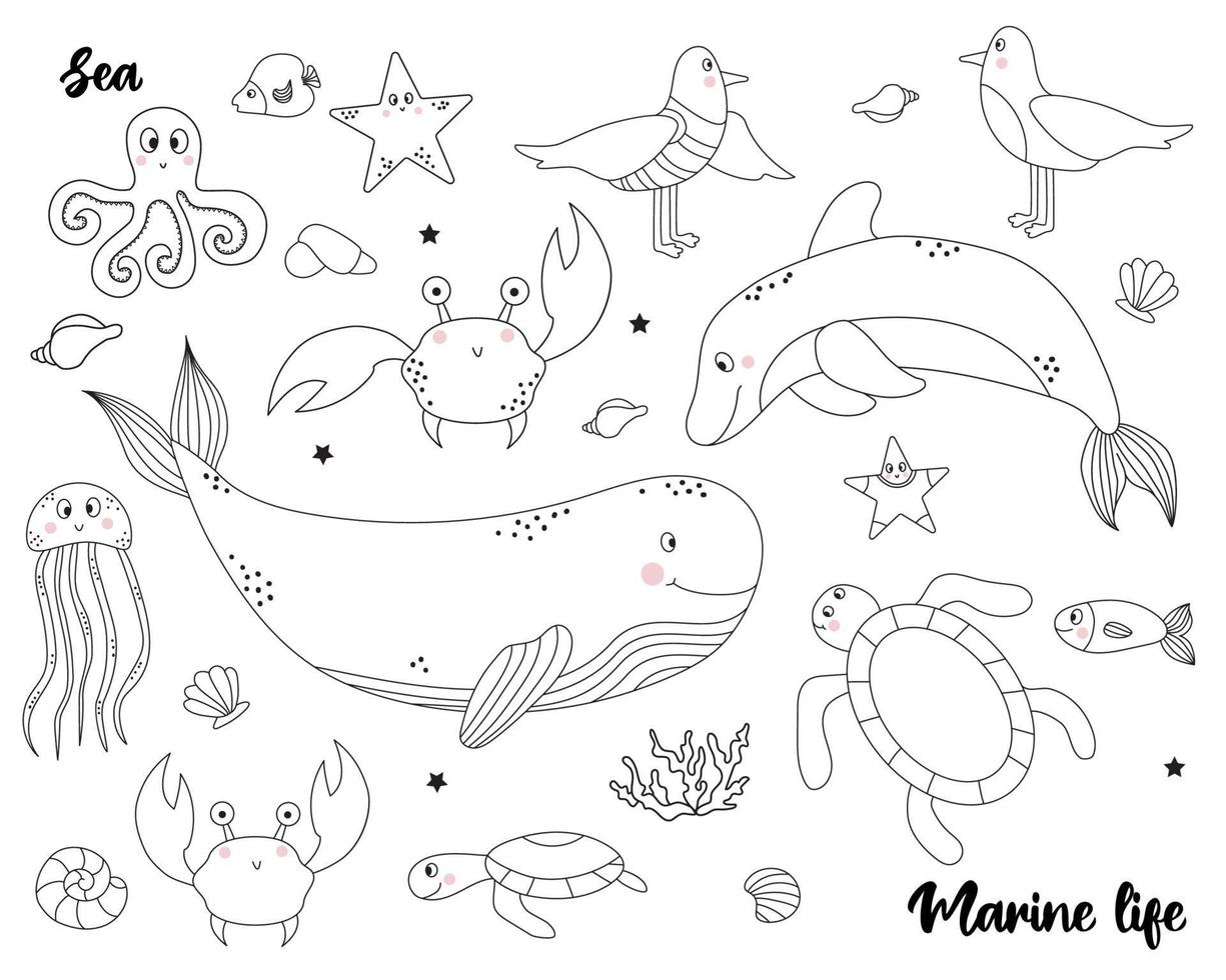 Collection of marine life. Set of animals and birds vector