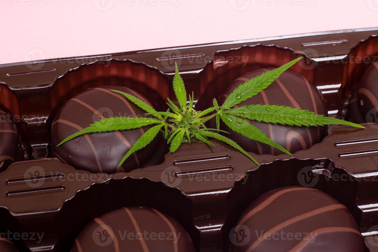 Chocolate cannabis cookies with THC and CBD extract photo