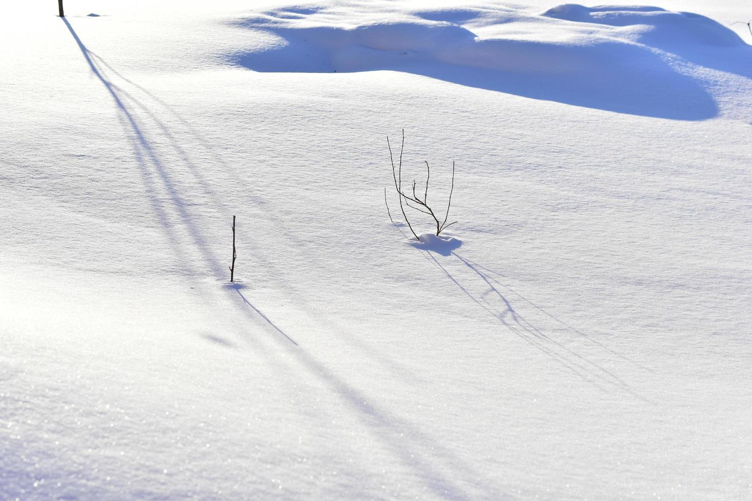 Snowy surface in winter with shadows in the evening photo