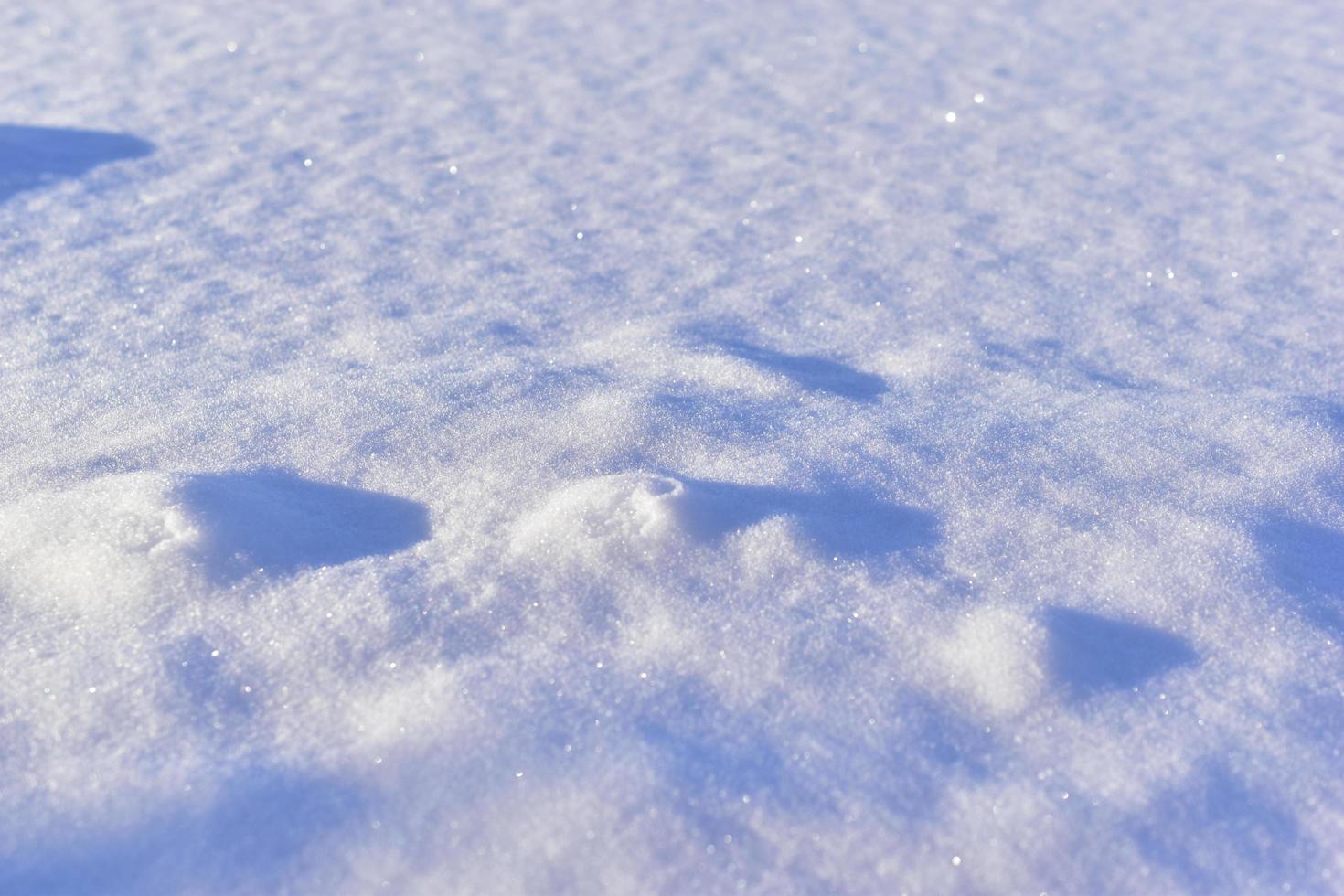 Snowy surface in winter with shadows in the evening photo