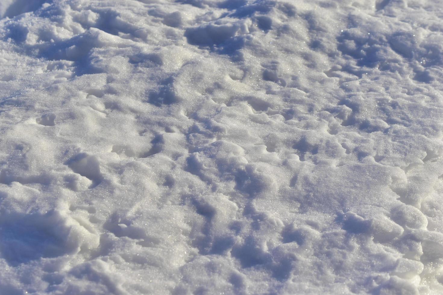 Snowy surface in winter with shadows in the evening photo