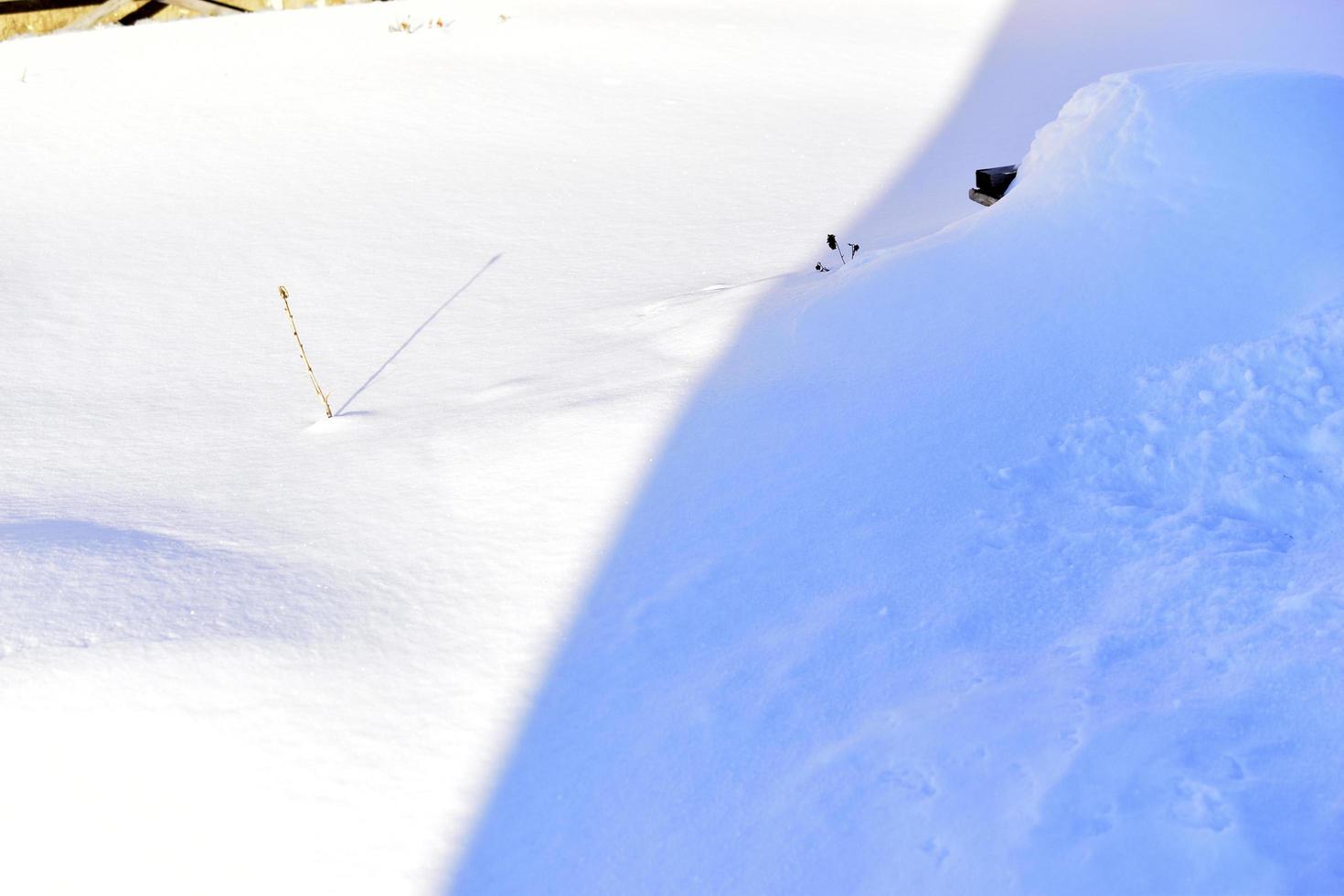 Snowy surface in winter with shadows in the evening photo