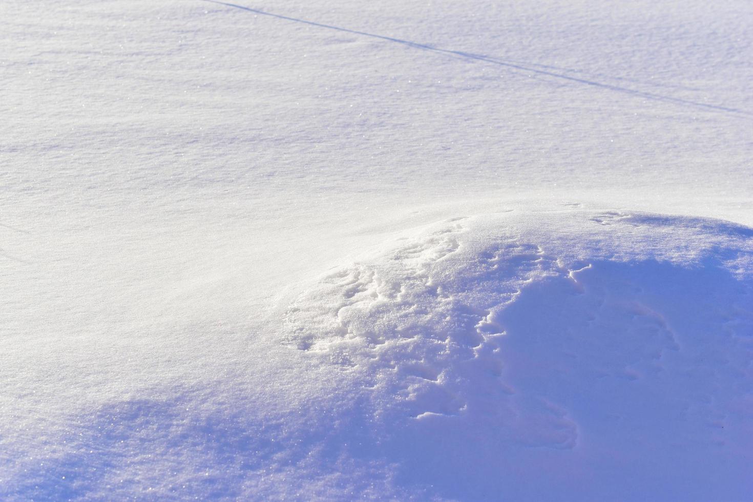 Snowy surface in winter with shadows in the evening photo