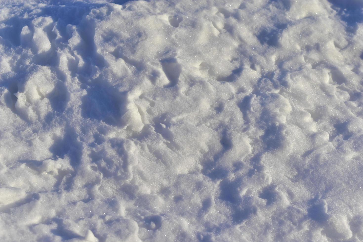 Snowy surface in winter with shadows in the evening photo