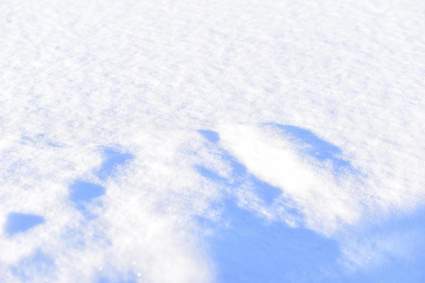 Snowy surface in winter with shadows in the evening photo