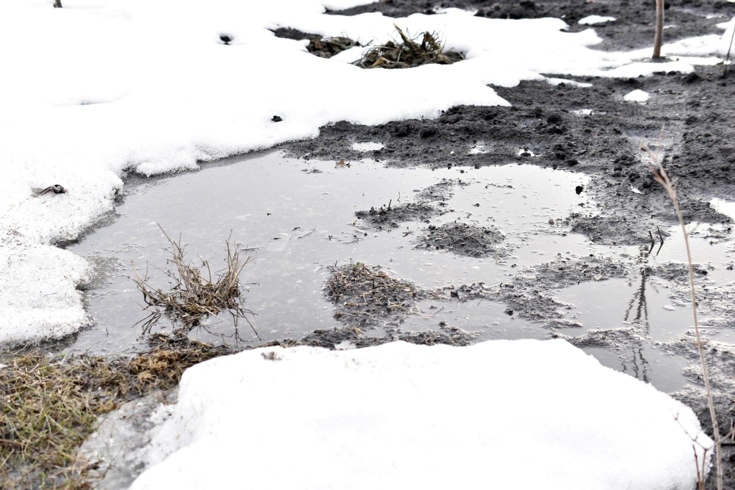 Spring puddles and water on the land of the dacha photo