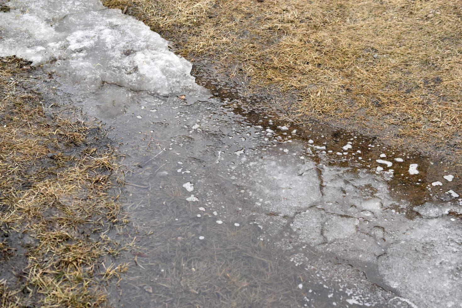 charcos de primavera y agua en la tierra de la dacha foto