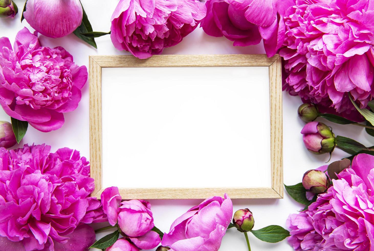 Wooden frame surrounded by beautiful pink peonies on a white background photo