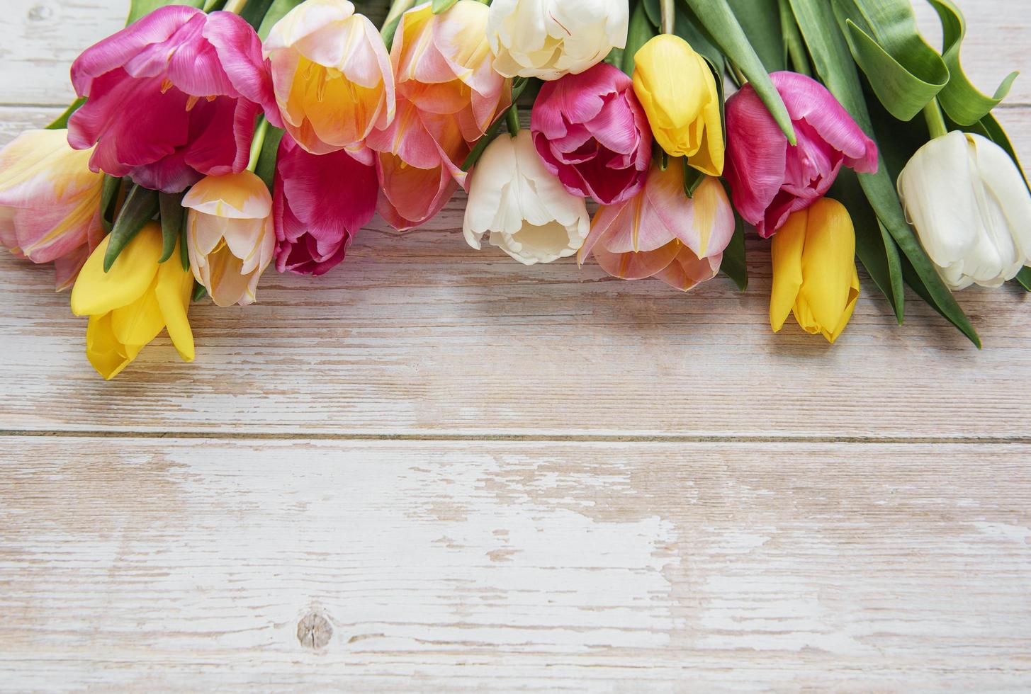 Spring tulips on a wooden background photo
