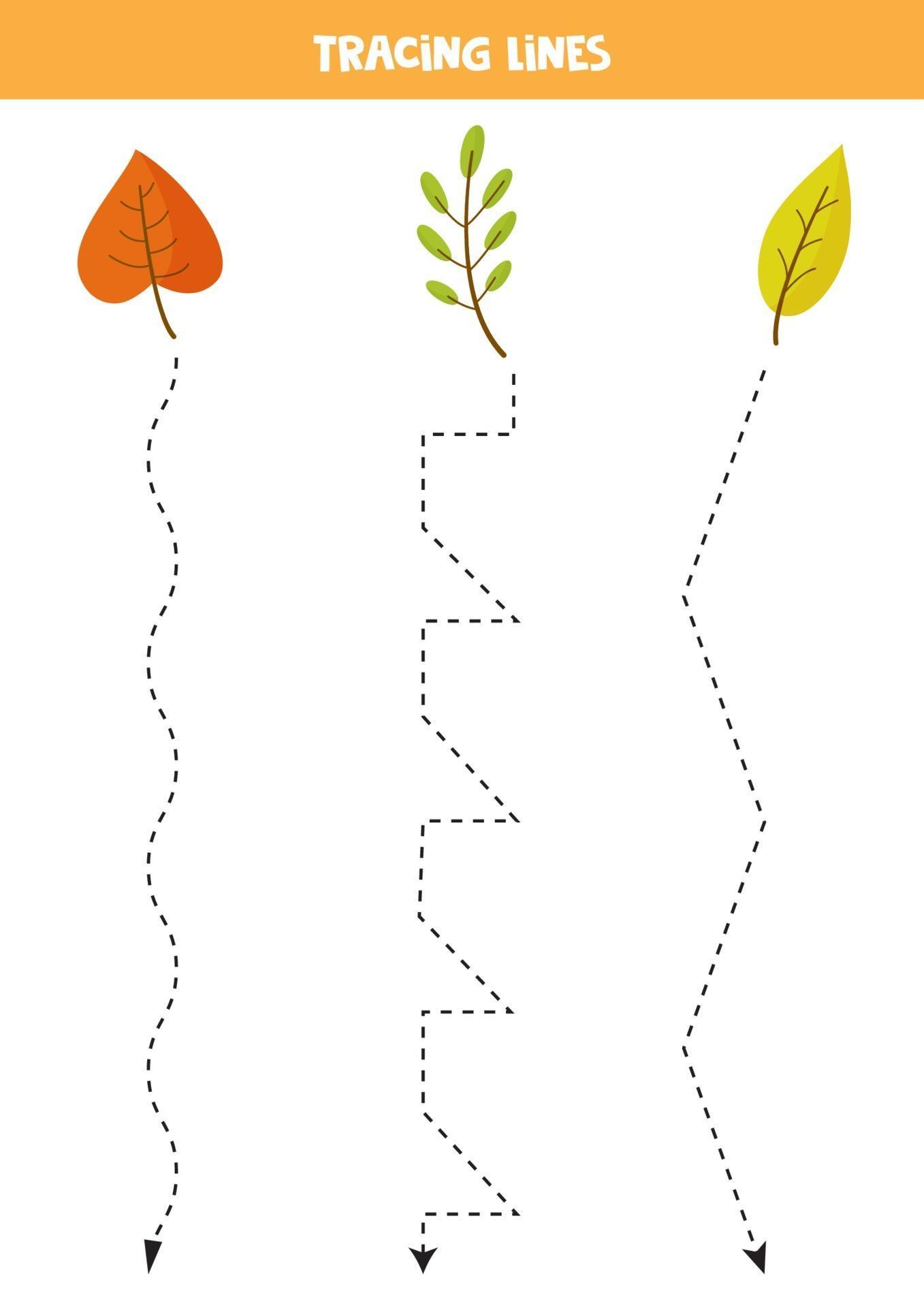 Tracing lines with cartoon autumn leaves. Practice for kids. 2248855