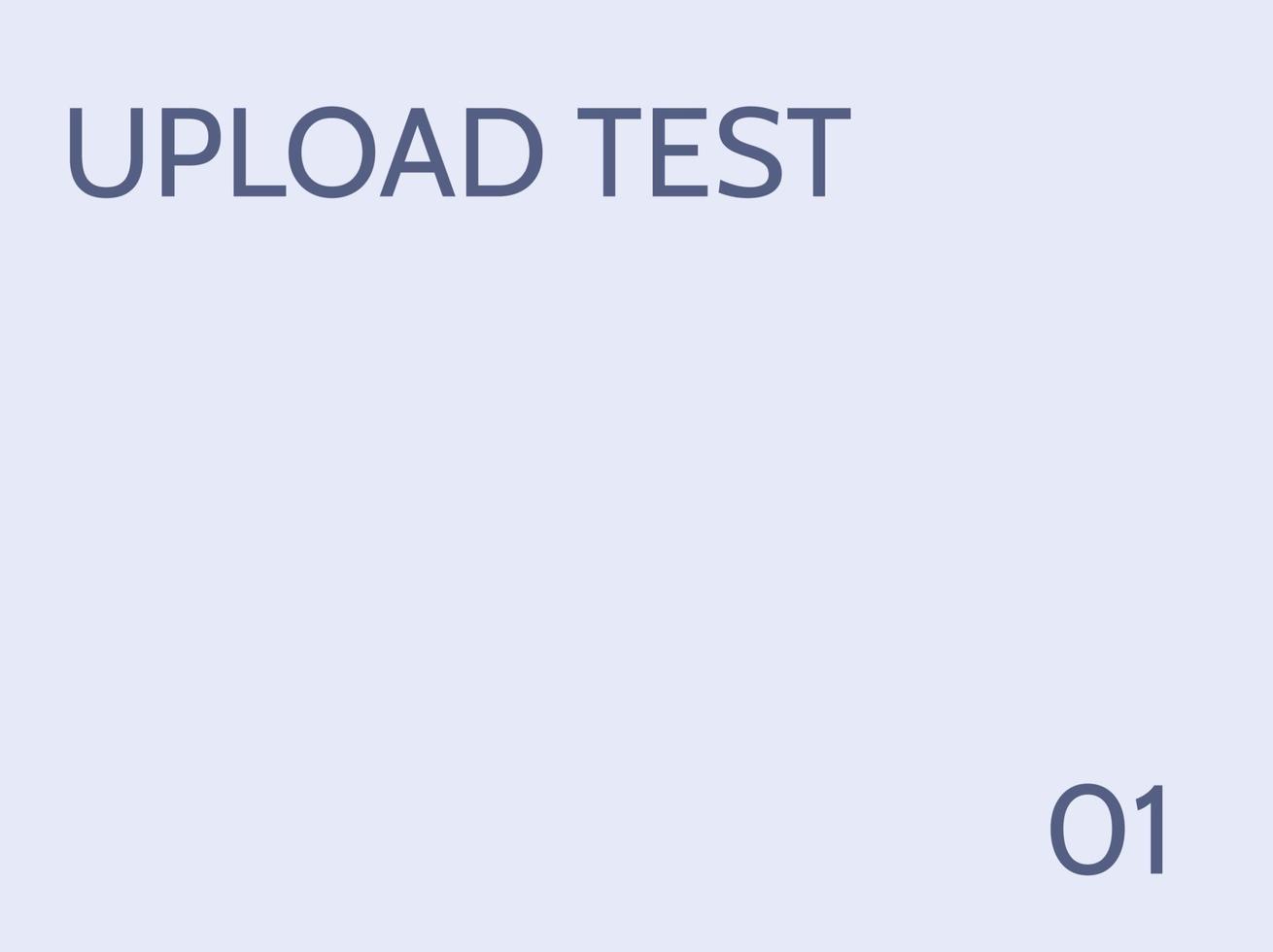 Upload test vectos vector