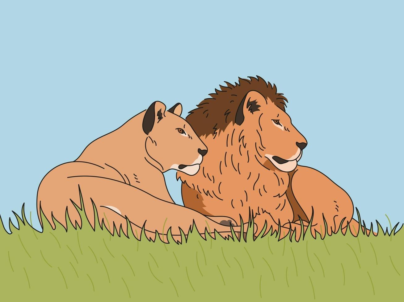 The lioness and the male lion are sitting together. hand drawn style vector design illustrations.