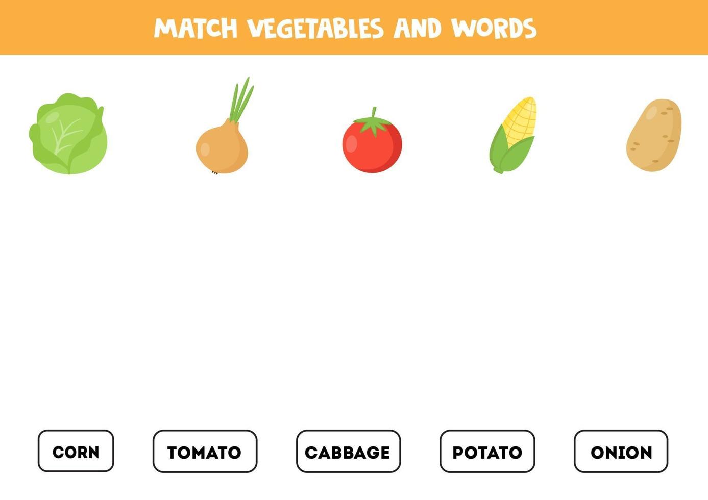 Match vegetables and words. Read the words and match pictures. vector