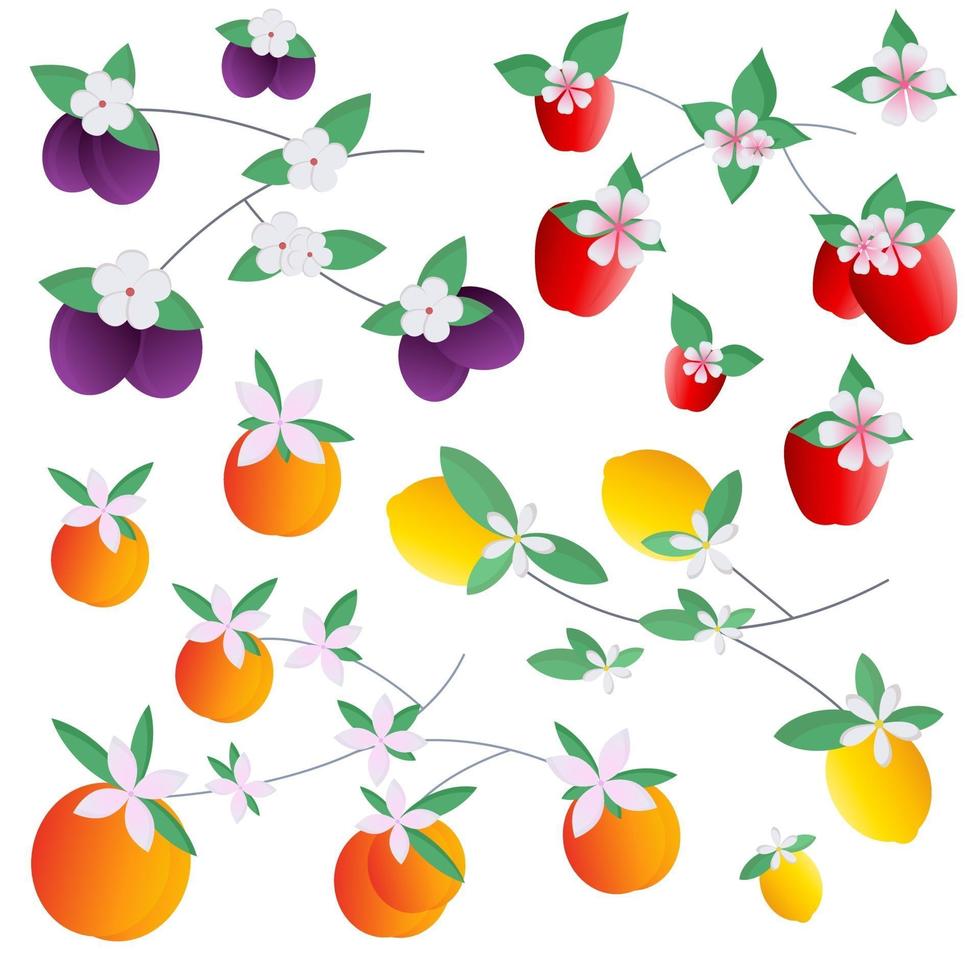 conjunto de frutas manzanas melocotones limones ciruelas. ilustración vectorial para postales, impresión en tela o vajilla, para patrones. vector