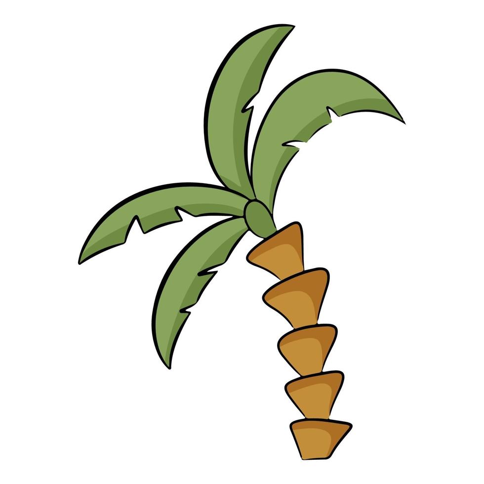 palmera en estilo de dibujos animados. ilustración vectorial aislado en un fondo blanco. vector