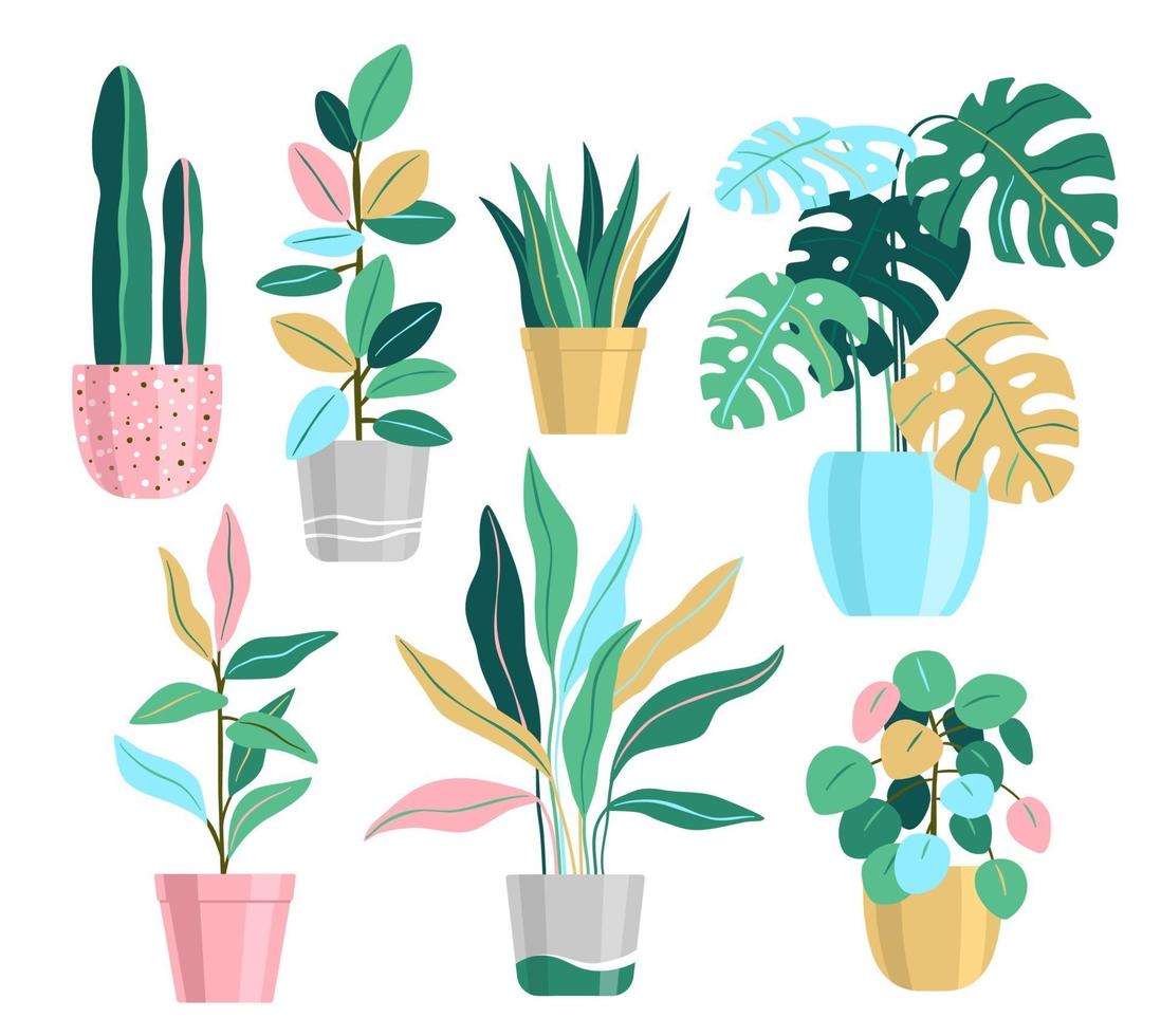 Potted Plant set, Home Plants Illustrations vector