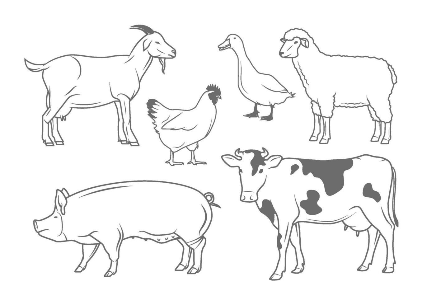 Farm Animals Illustrations Set vector