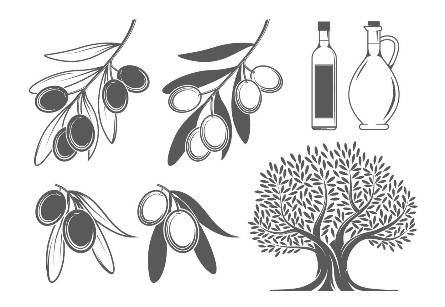 ramas de olivo, árbol y aceite vector