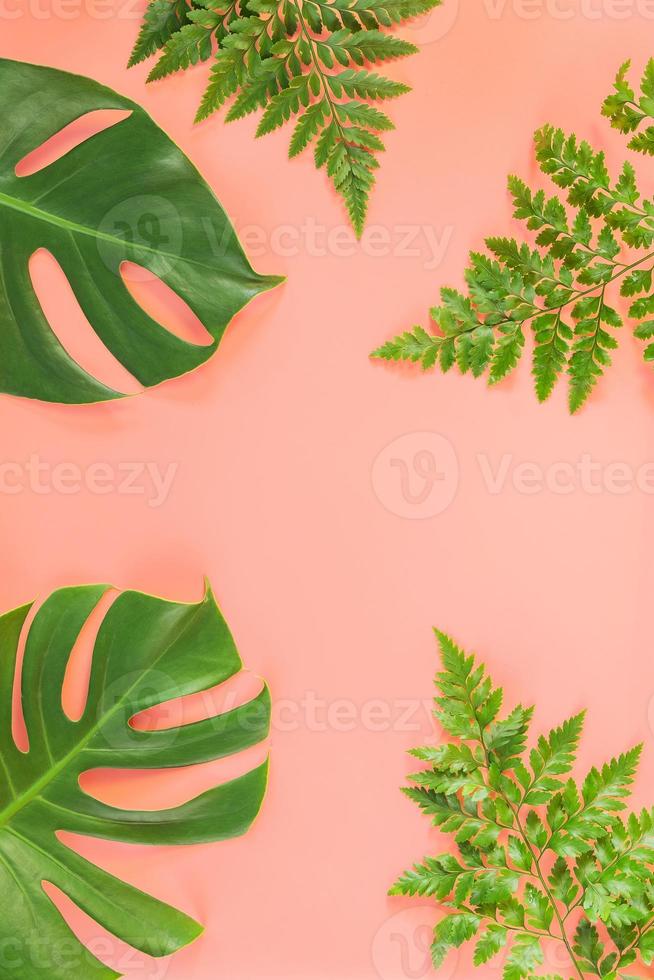 Monstera and fern leafs lay on pink background photo