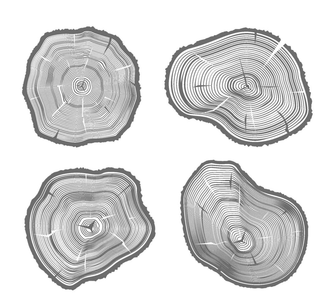 Wood Cut Illustrations vector