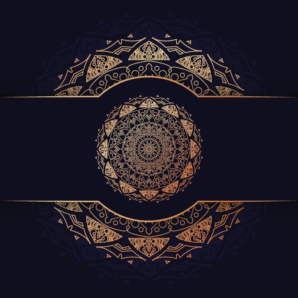 luxury mandala design vector