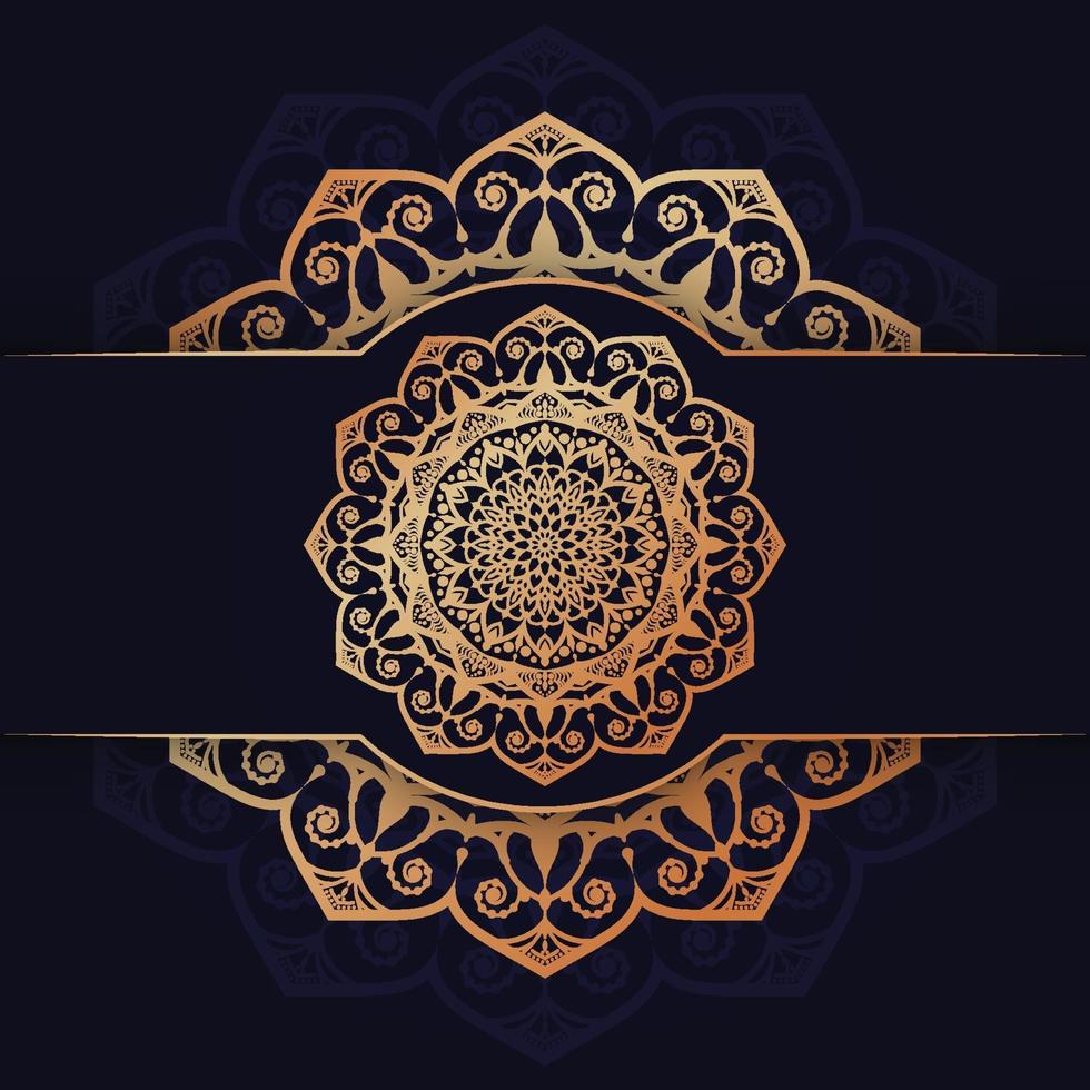 luxury mandala design vector