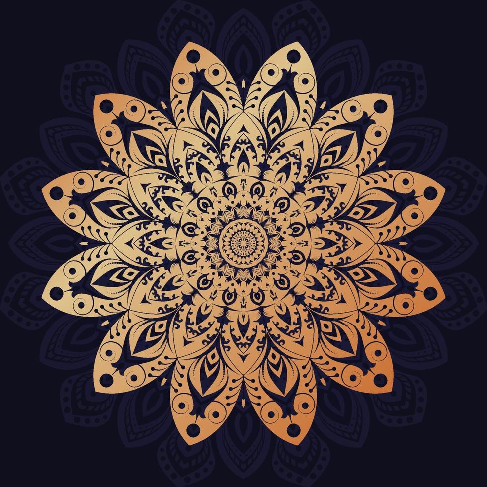 luxury mandala design vector