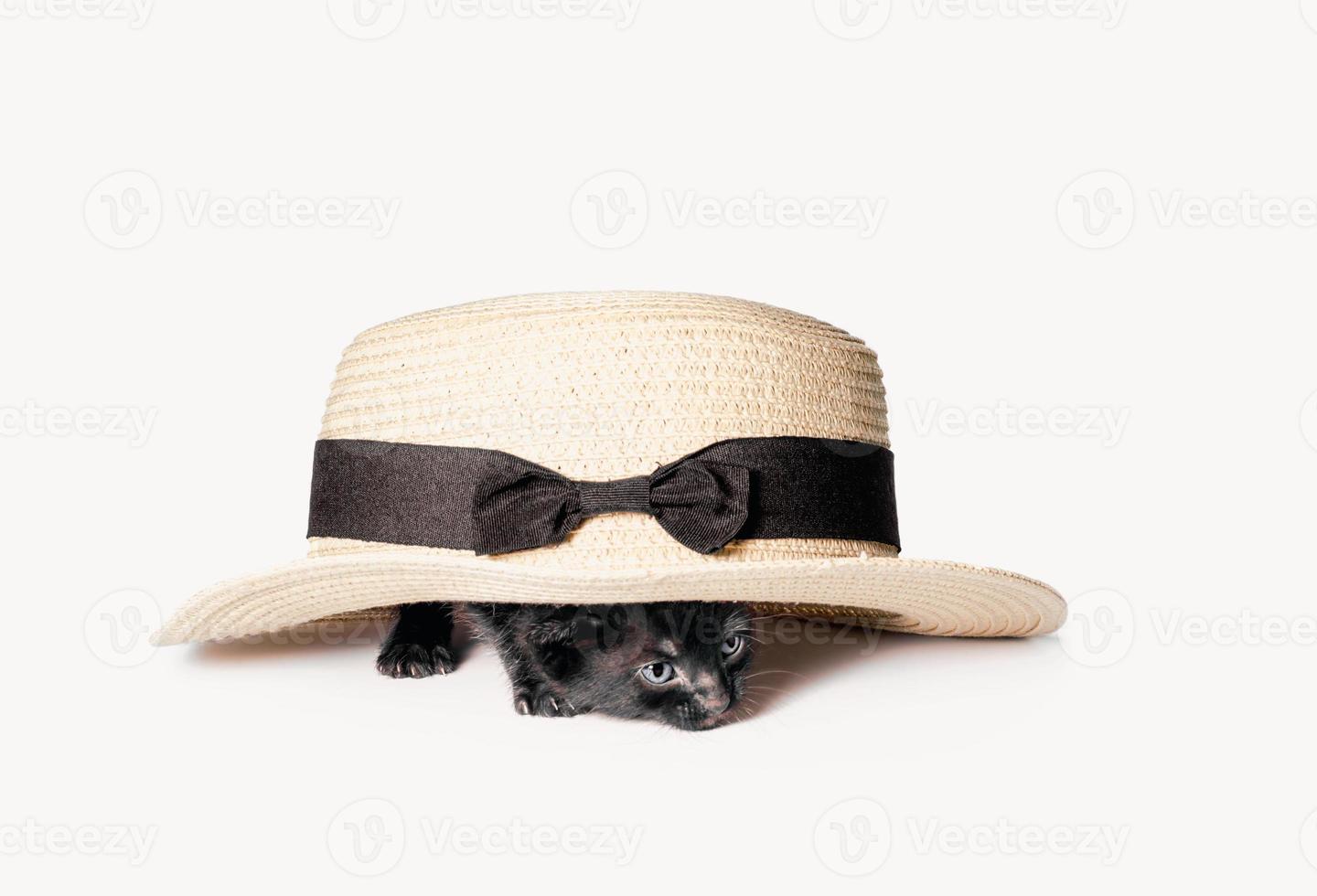 Kitten crawling out of a hat photo