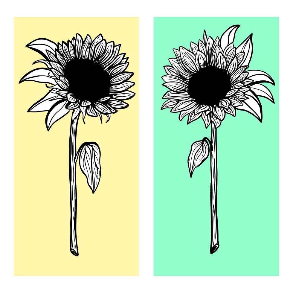 Hand-drawn sunflowers on colorful background vector