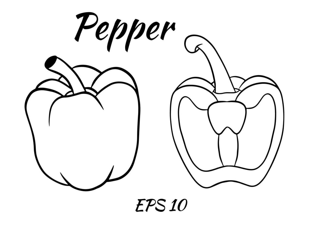 Fresh pepper vegetable isolated icon. pepper for farm market, vegetarian salad recipe design. vector