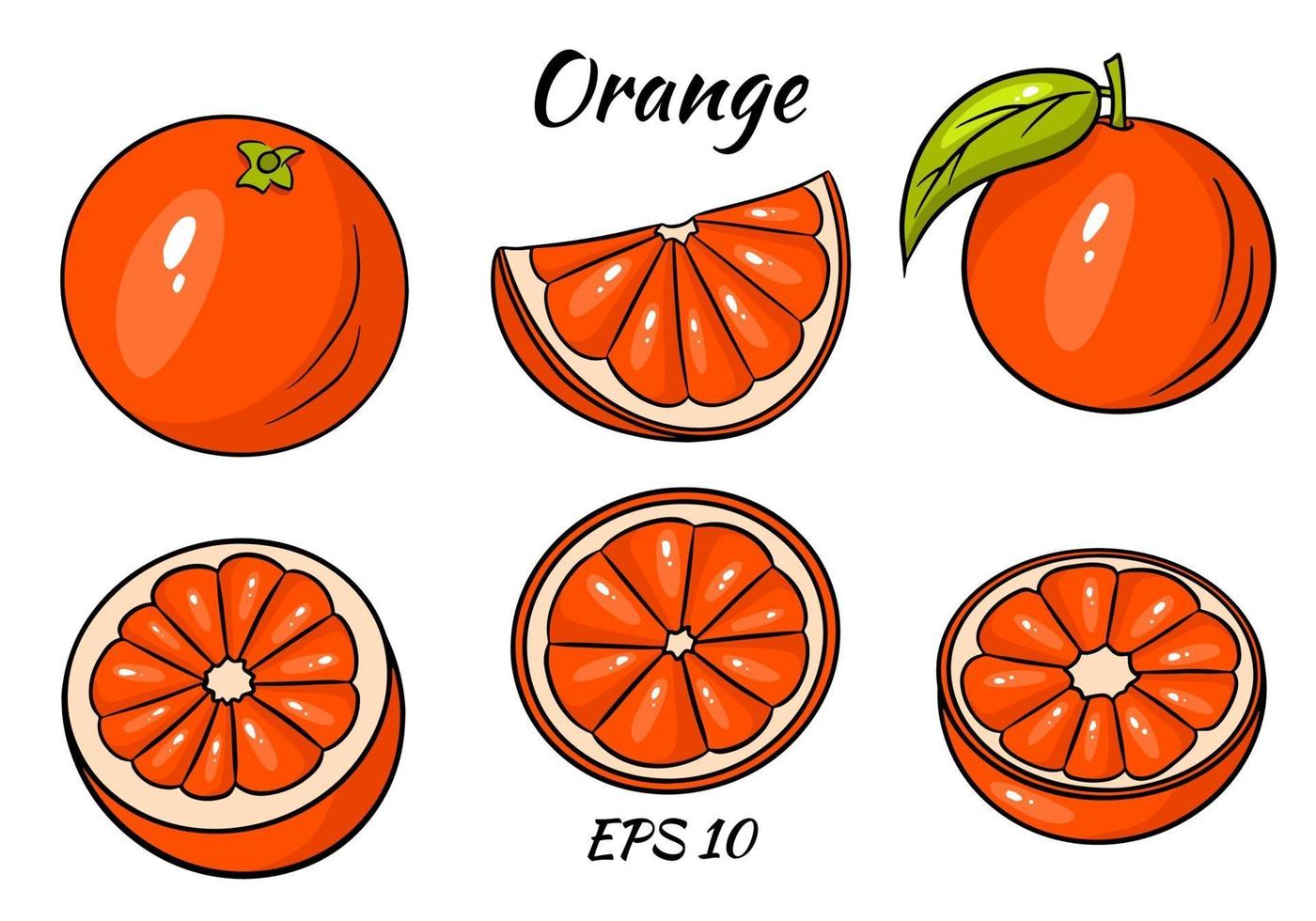 vector naranja. fruta fresca de orangután tropical en estilo de dibujos animados. mitad y anillo rodaja de naranja vector aislado sobre fondo blanco.