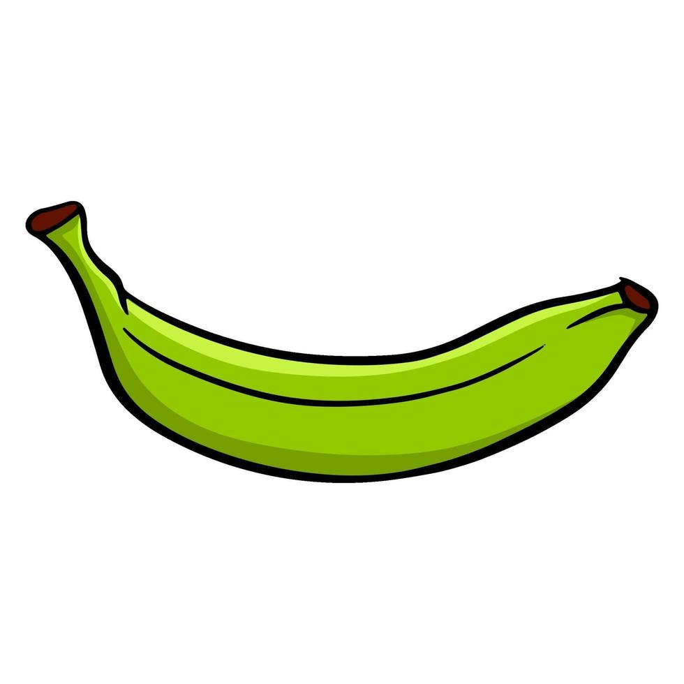 Green banana. Juicy fruit. vector