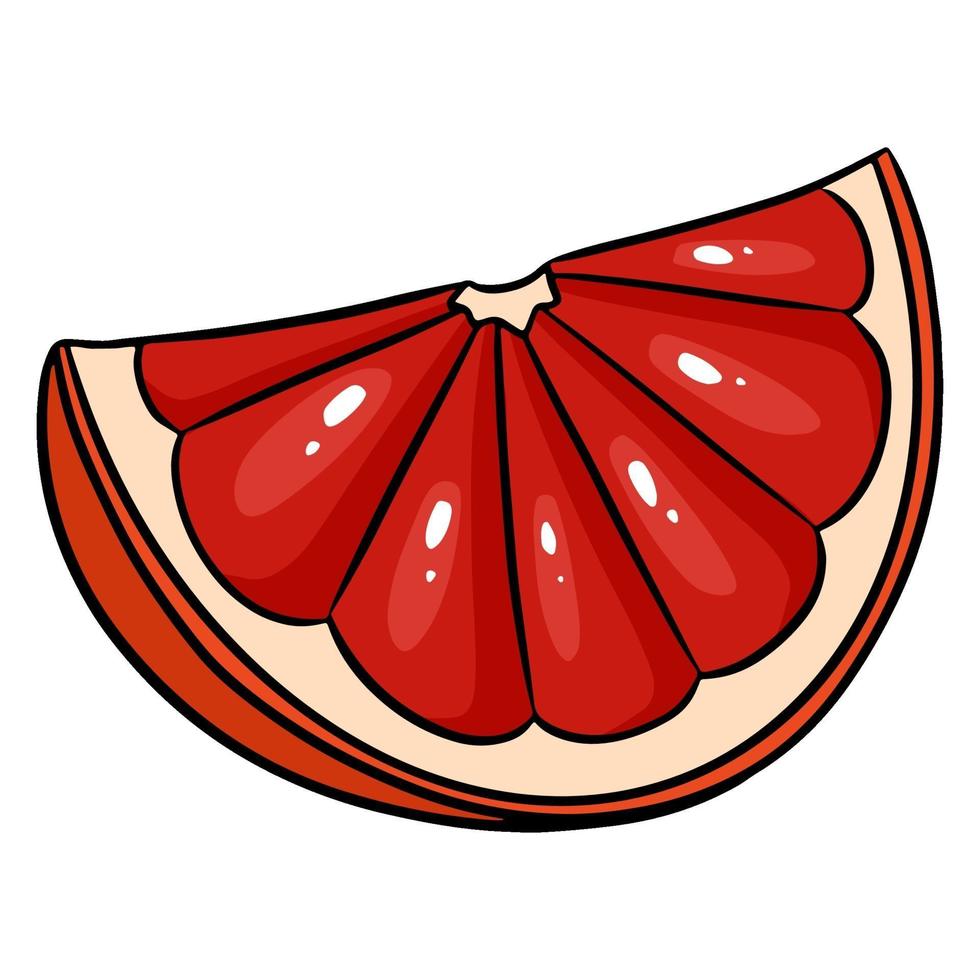 Slice of juicy grapefruit. A cut piece of grapefruit. vector