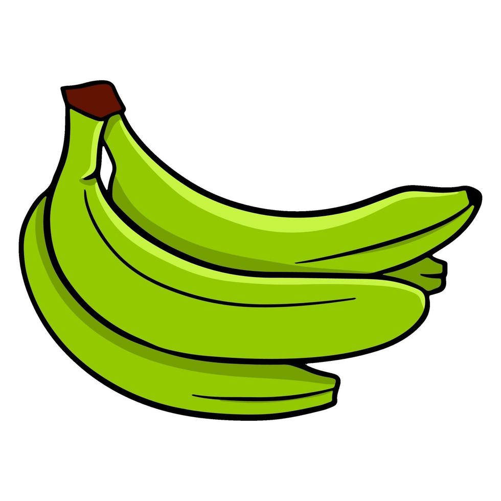 Colorful green banana. A bunch of bananas. For design and decoration. vector