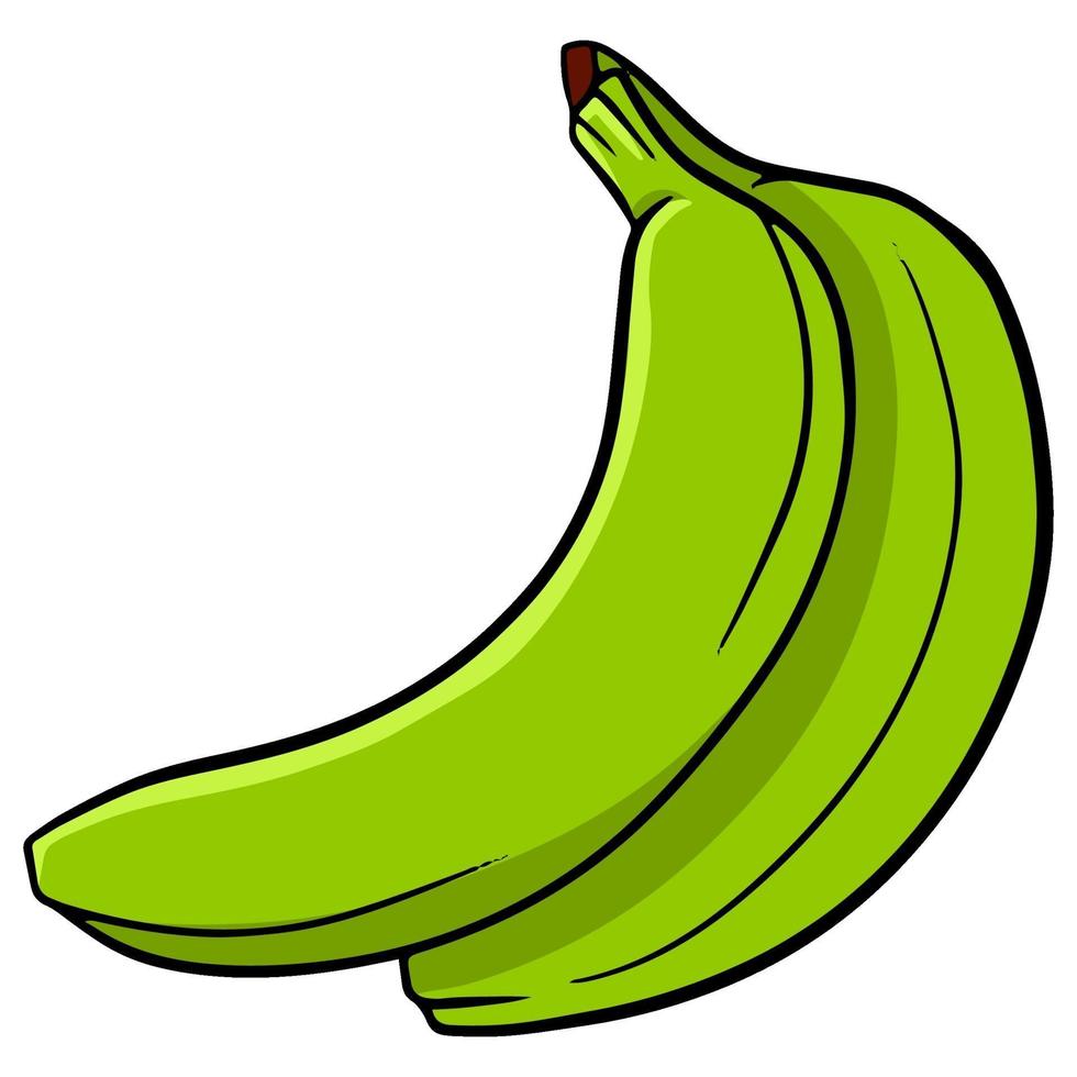 Colorful green banana. A bunch of bananas. For design and decoration