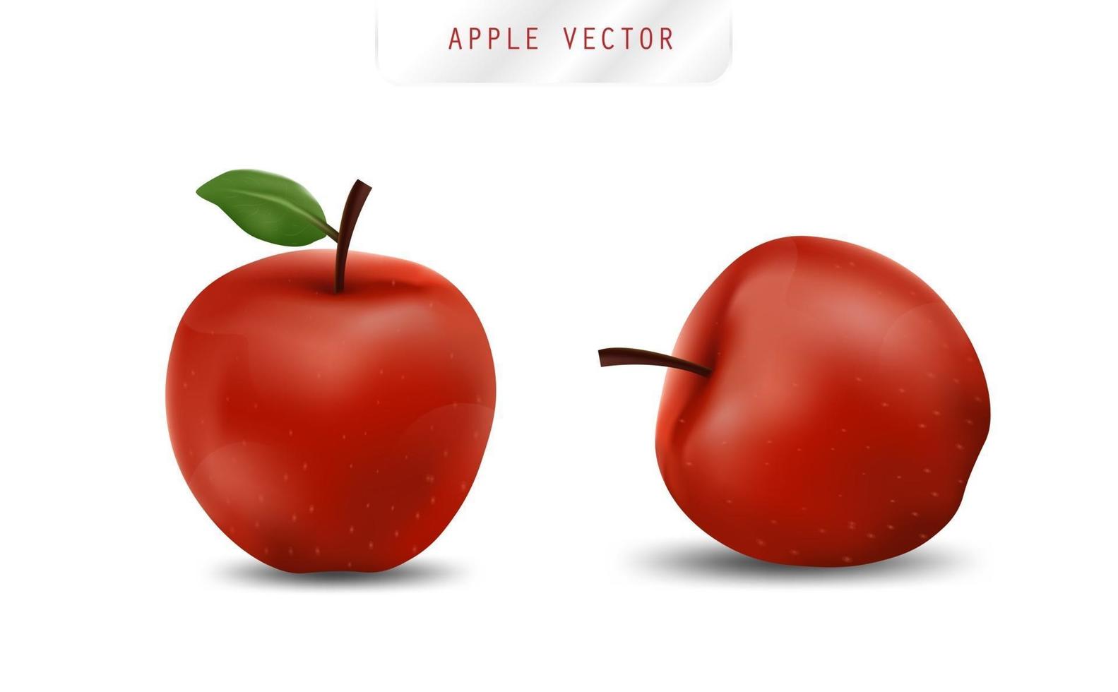 manzana realista. vector de fruta y manzana fresca.