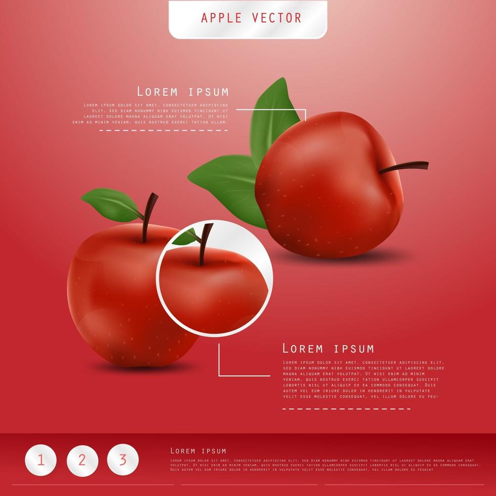 manzana realista. vector de fruta y manzana fresca.