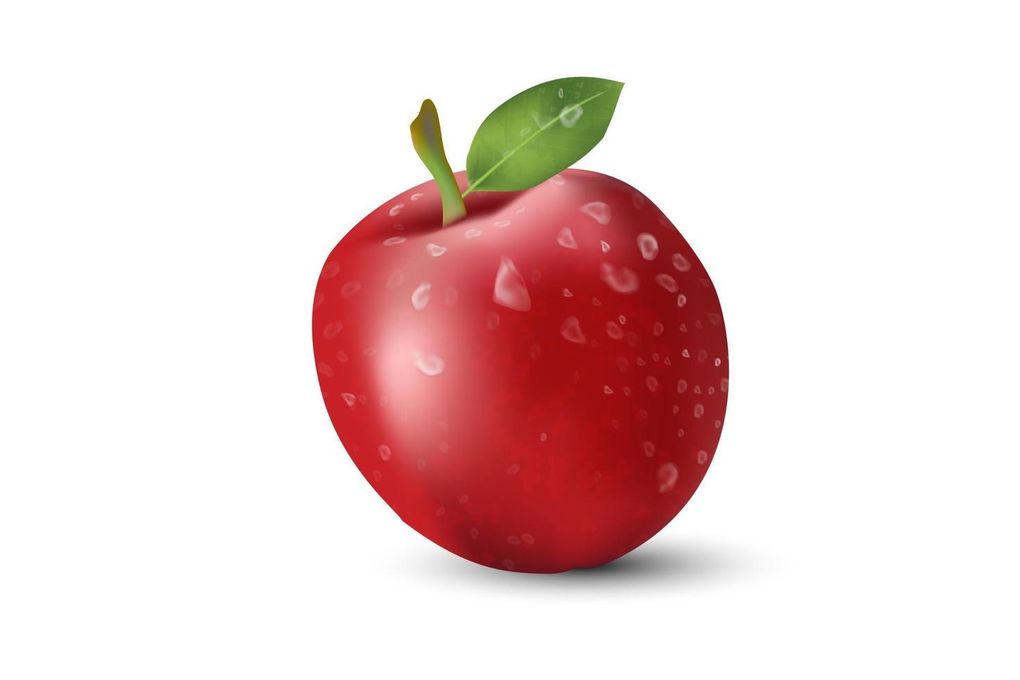 manzana realista. vector de fruta y manzana fresca.