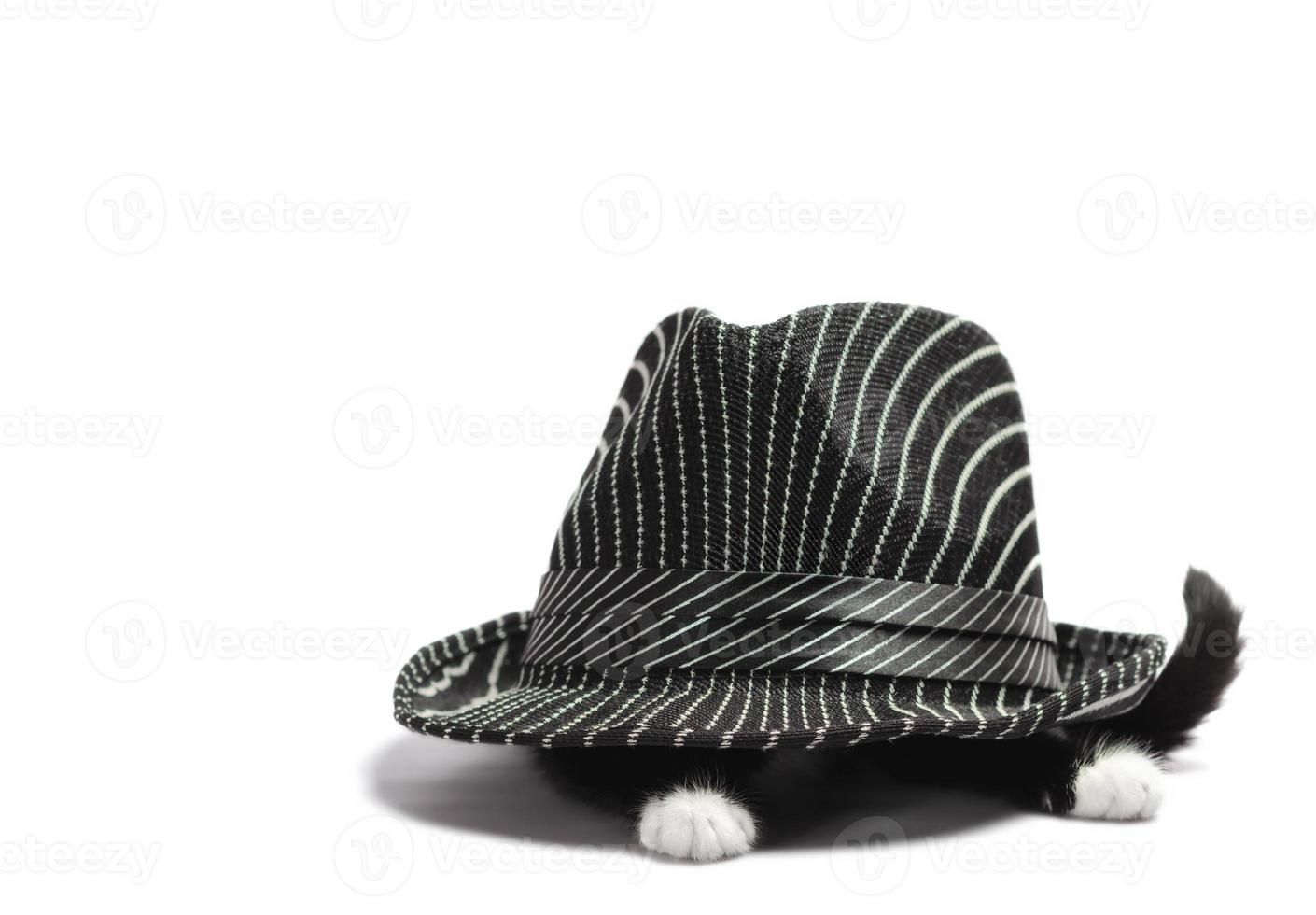 gatito blanco y negro debajo de un sombrero foto