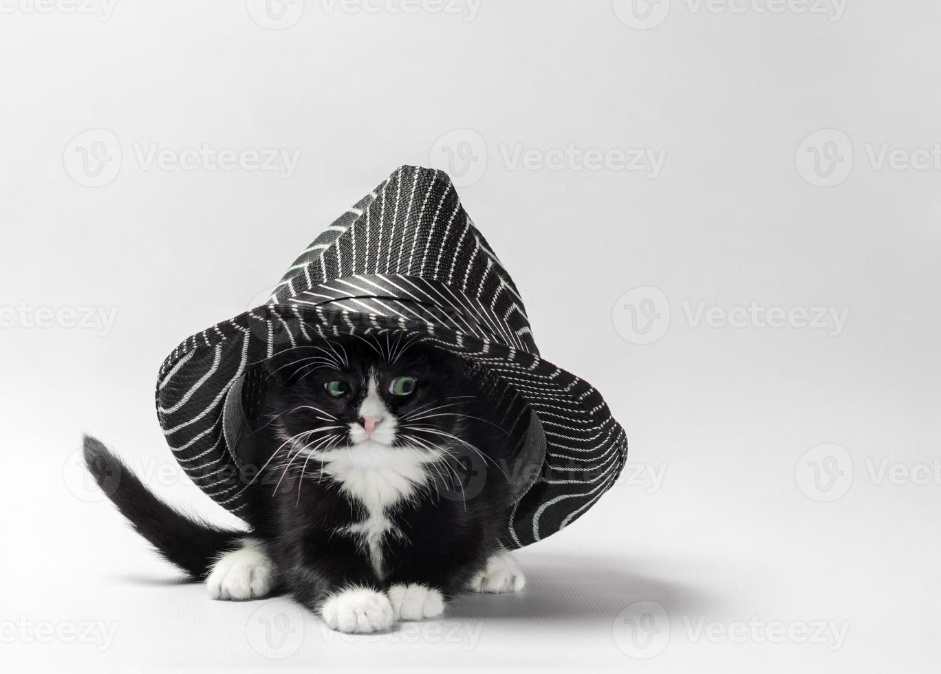 gatito blanco y negro debajo de un sombrero a rayas foto