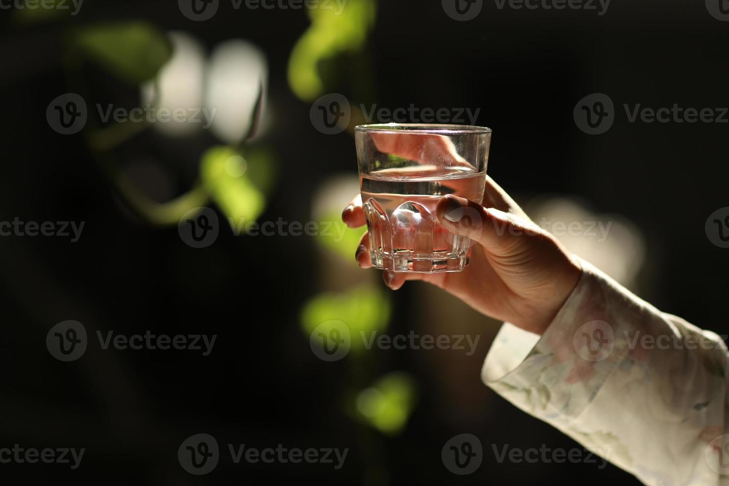 Woman hands isolated, holding a glass of water on a dark background with green leaves. The sun's rays fall on the glass. photo