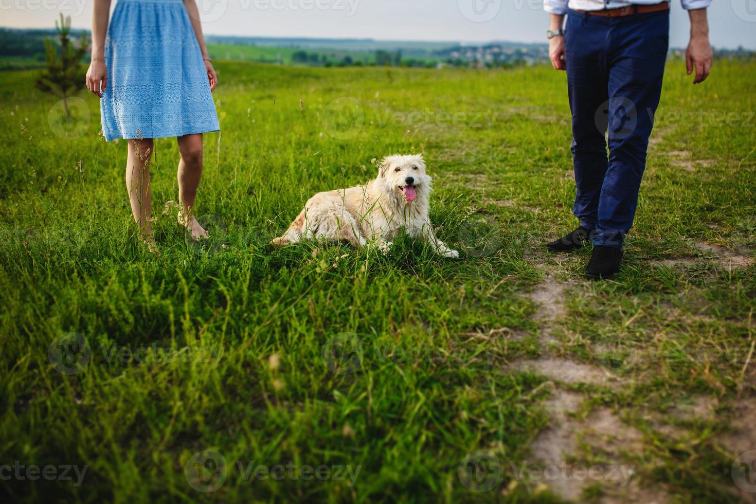 perro feliz está descansando con los dueños en la naturaleza. divirtiéndose con su perro en el parque. foto