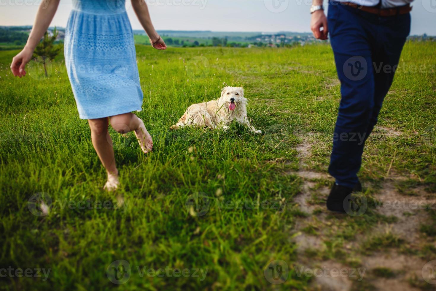 Happy dog is having a rest with the owners in nature. Having fun with their dog in the park photo