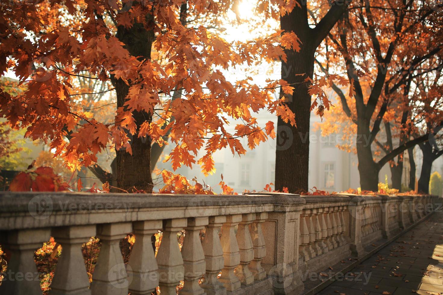 Autumn landscape, autumn city park with fallen yellow autumn leaves and autumn trees. photo