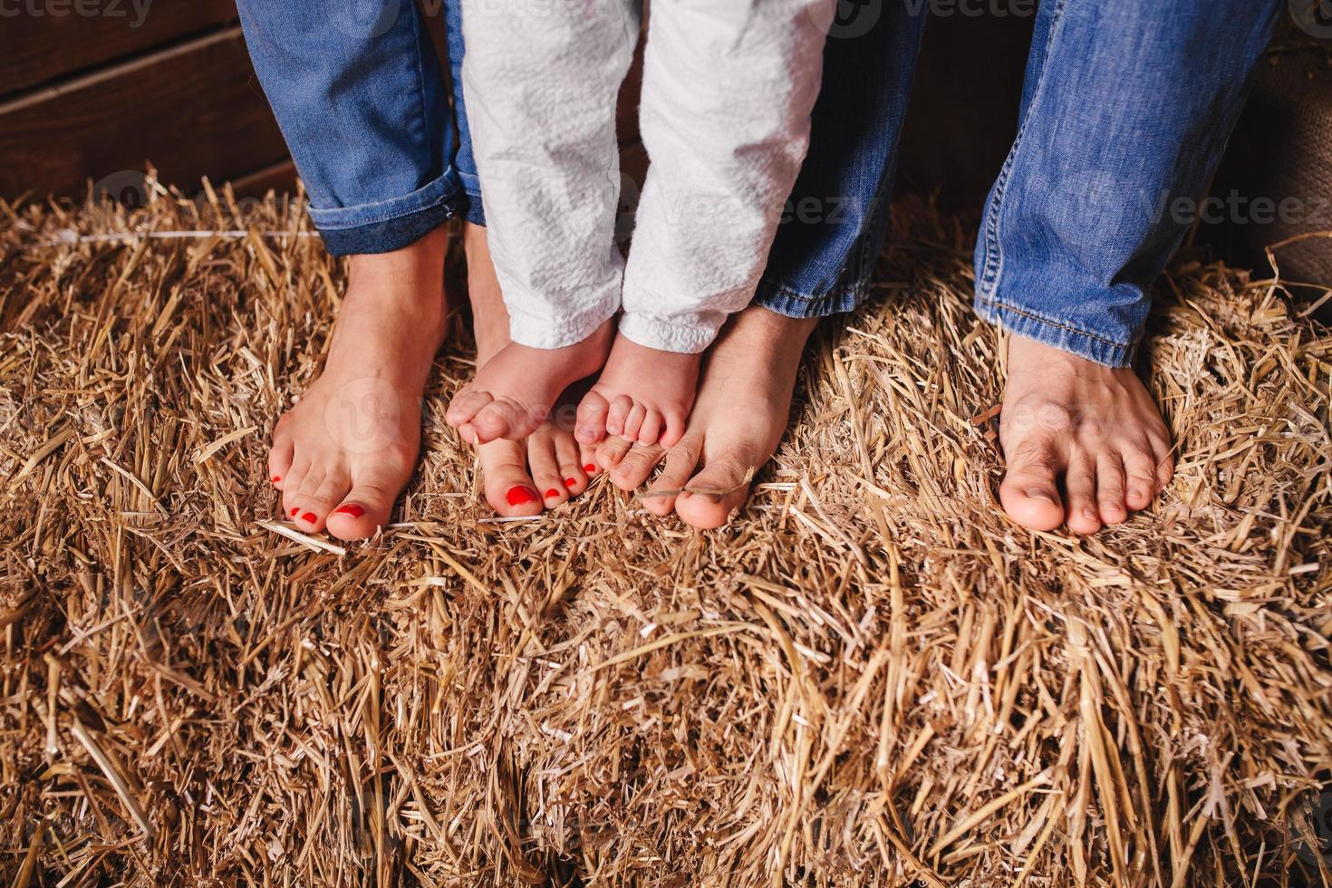 pies descalzos de miembros de la familia: madre, padre y bebé en el heno. foto